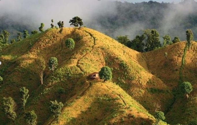 BandarbanHiking